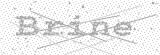 Security Picture (click to change)