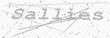 Security Picture (click to change)