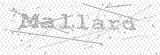 Security Picture (click to change)