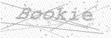 Security Picture (click to change)