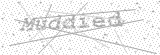 Security Picture (click to change)