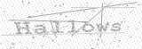 Security Picture (click to change)