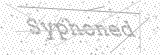 Security Picture (click to change)