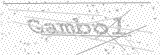 Security Picture (click to change)