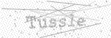 Security Picture (click to change)