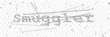 Security Picture (click to change)