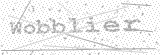 Security Picture (click to change)
