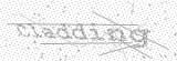 Security Picture (click to change)