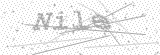 Security Picture (click to change)