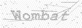 Security Picture (click to change)