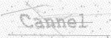 Security Picture (click to change)