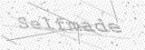 Security Picture (click to change)