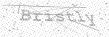 Security Picture (click to change)