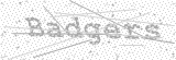 Security Picture (click to change)