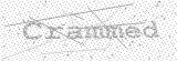 Security Picture (click to change)