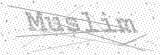 Security Picture (click to change)