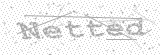 Security Picture (click to change)
