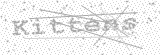 Security Picture (click to change)