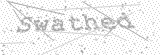 Security Picture (click to change)