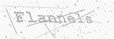 Security Picture (click to change)