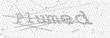 Security Picture (click to change)