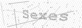 Security Picture (click to change)