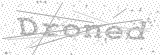 Security Picture (click to change)