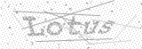 Security Picture (click to change)