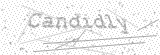 Security Picture (click to change)