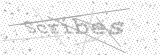 Security Picture (click to change)