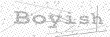 Security Picture (click to change)