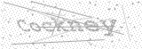 Security Picture (click to change)