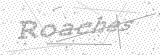 Security Picture (click to change)