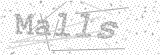 Security Picture (click to change)