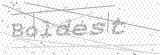 Security Picture (click to change)