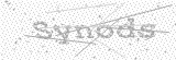 Security Picture (click to change)