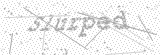 Security Picture (click to change)