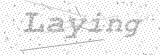 Security Picture (click to change)