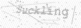 Security Picture (click to change)