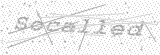 Security Picture (click to change)