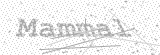 Security Picture (click to change)