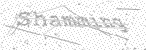 Security Picture (click to change)
