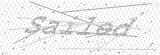 Security Picture (click to change)