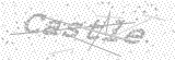 Security Picture (click to change)