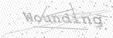Security Picture (click to change)