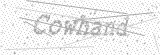 Security Picture (click to change)