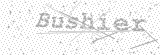 Security Picture (click to change)