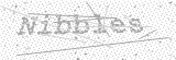 Security Picture (click to change)
