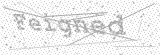 Security Picture (click to change)