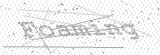 Security Picture (click to change)